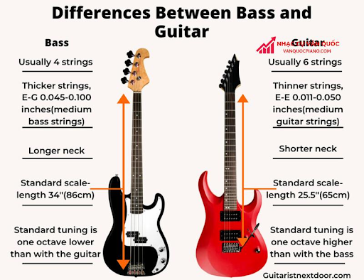 Phân biệt guitar điện và guitar bass