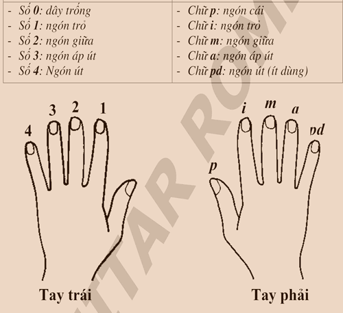 Ký hiệu vị trí các ngón tay 