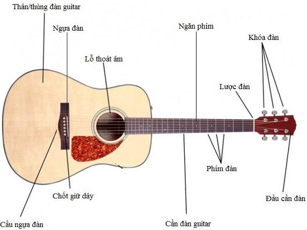 cách học đàn Guitar
