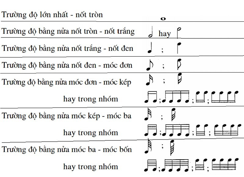 Hiểu giá trị trường độ của các nốt nhạc