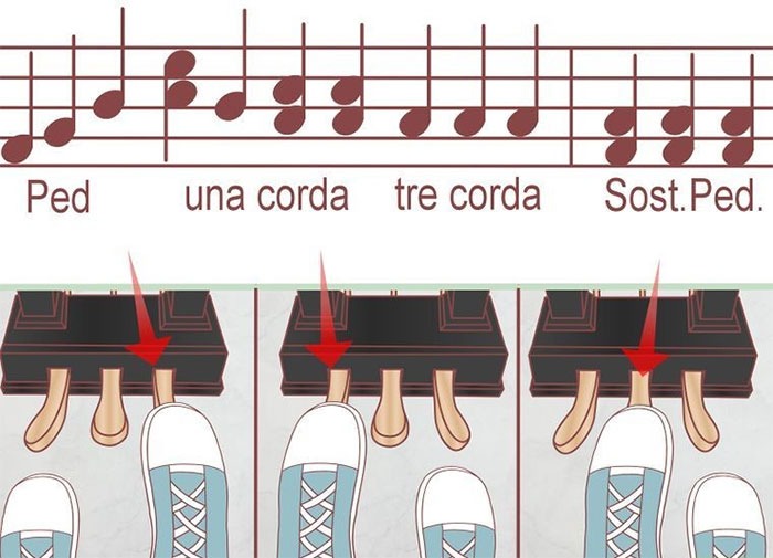 Hướng dẫn cách sử dụng pedal piano