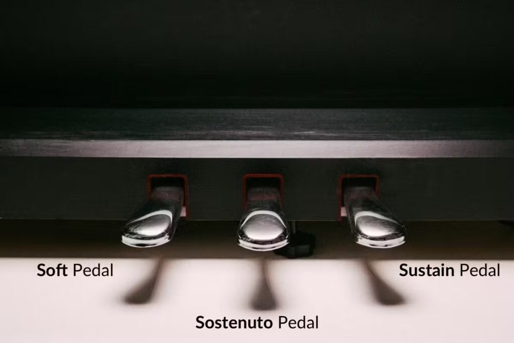 Pedal Piano gồm những gì?