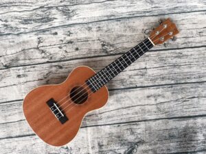 thương hiệu đàn ukulele