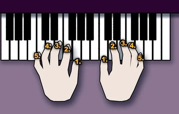 Các vị trí quan trọng khi chơi Piano