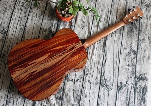 Đặc tính bền bỉ của gỗ mahogany