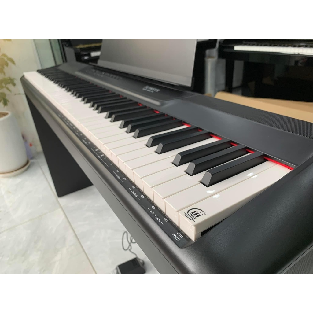 Đàn Piano điện giá rẻ Flykeys FP6
