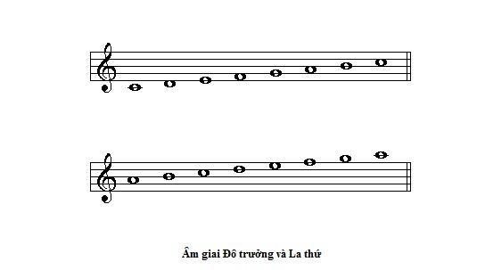 Âm giai trưởng là gì