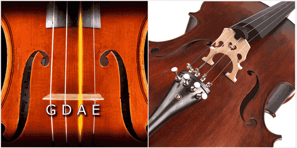 Chỉnh dây đàn Violin để âm thanh được chuẩn hơn