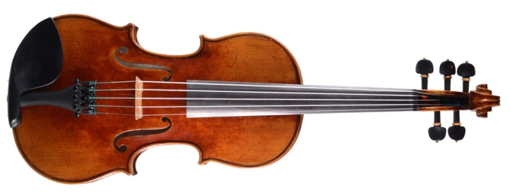 Đàn violin 5 dây