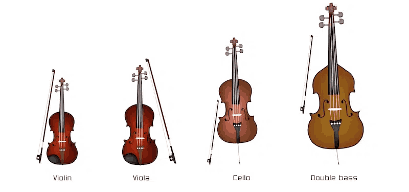 Điều khác biệt giữa Viola và Violin 