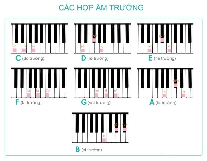 Luyện ngón và thực hành các hợp âm cơ bản