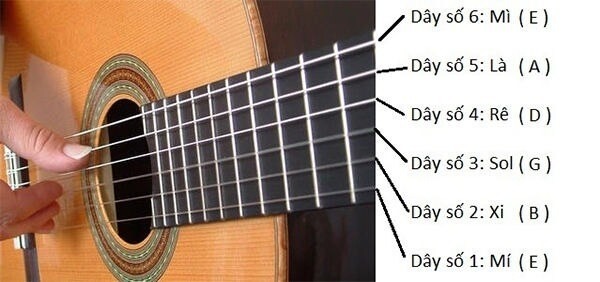 Bản chất của nhịp guitar là gì?