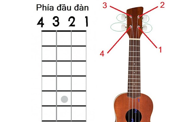 Kỹ thuật lên dây đàn chuẩn cao độ