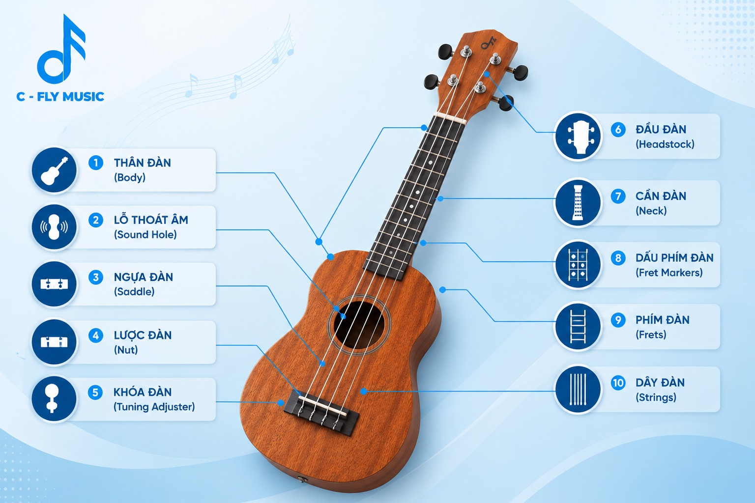 Nhận biết các bộ phận cấu tạo trên cây đàn