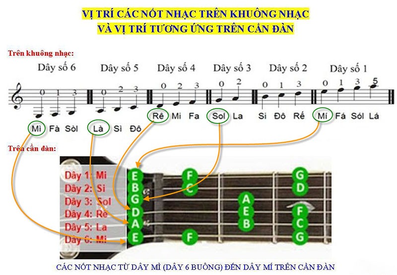 Hướng dẫn bấm các hợp âm cơ bản và kỹ thuật đệm hát