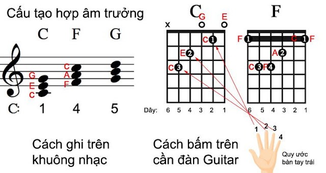 Các bước thực hiện