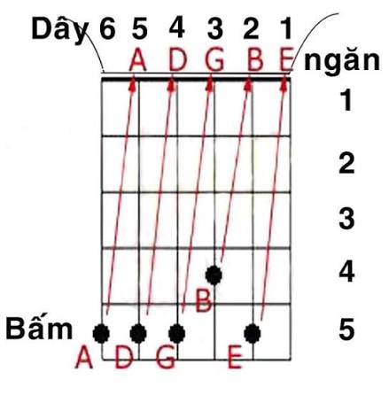 Hệ thống nốt chuẩn