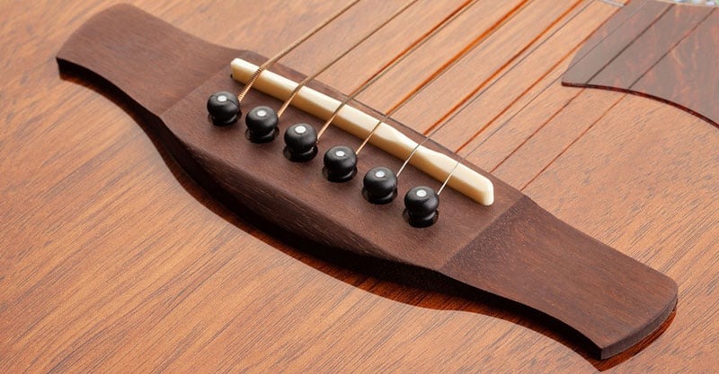 Người mới tập nên chọn loại ngựa đàn nào?