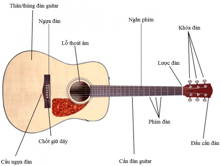 Phím đàn guitar là gì?